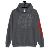 BRAKE DISC GRY HOODIE